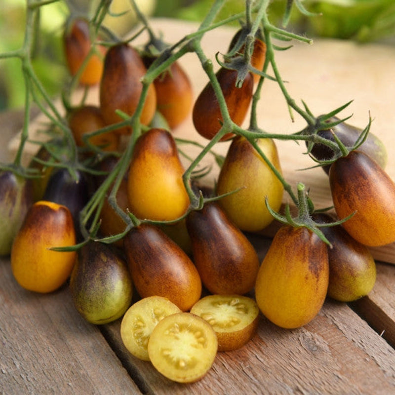 Indigo Pear Drop Tomatoes