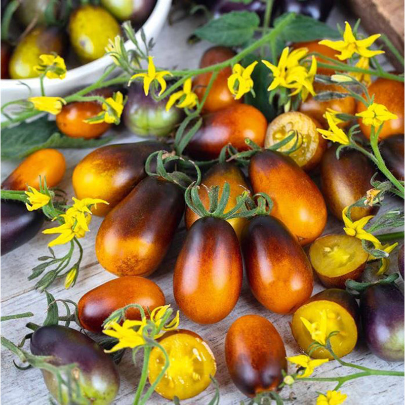 Indigo Pear Drop Tomatoes