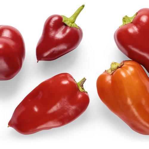 Hot Pepper