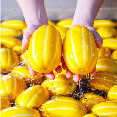 Golden Melon Seeds