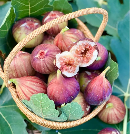 🍑Super Giant Fig Tree Seeds - The Sweetness of a Peach in Every Bite! 🌟