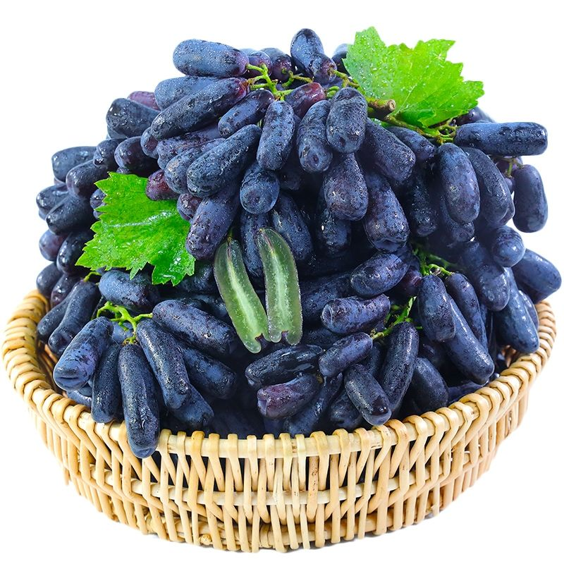 🔥Last Day 50% OFF- HIGH-QUAILTY SAPPHIRE GRAPES SEEDS- 98% Germination