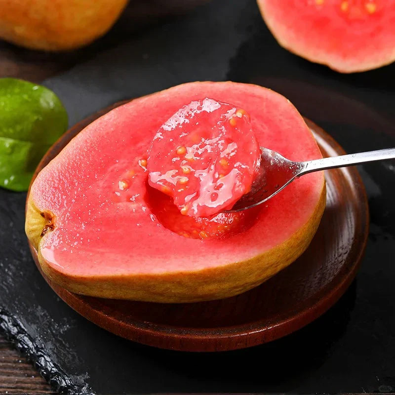 Tropical Strawberry Guava Organic Pink Guava Seeds