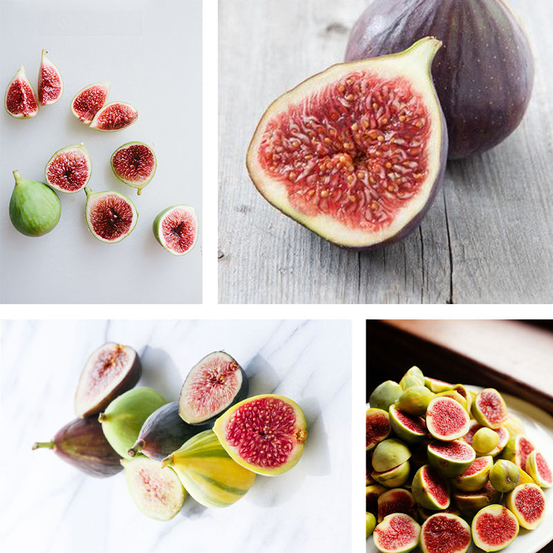 Fig Tree Seeds (Ficus carica)🍀Sweet Fruit Shrub-Cold and heat resistant