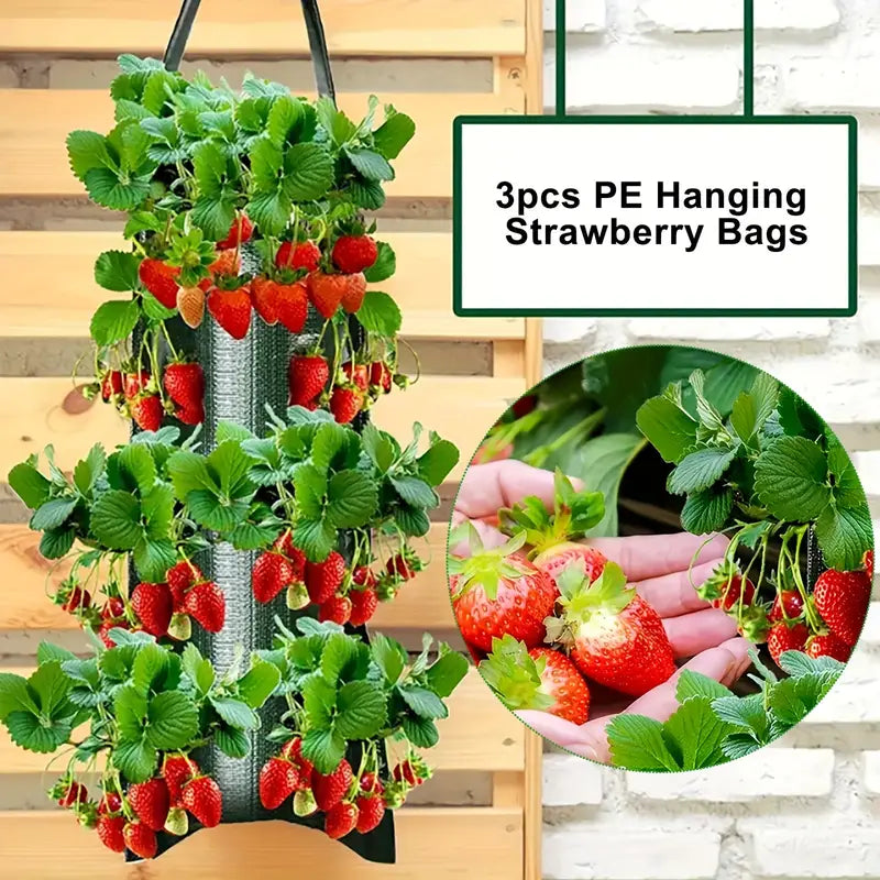 Hanging Strawberry Flowerpot Bag