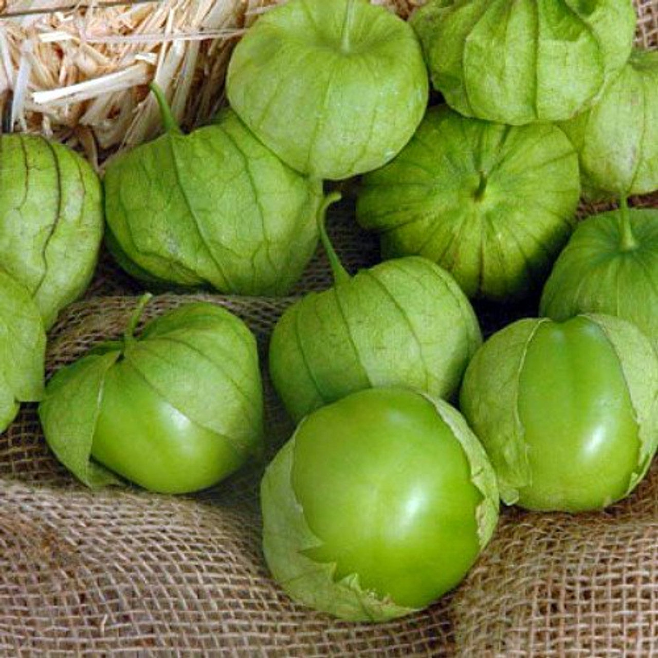 Super Verde Tomatillo Seeds