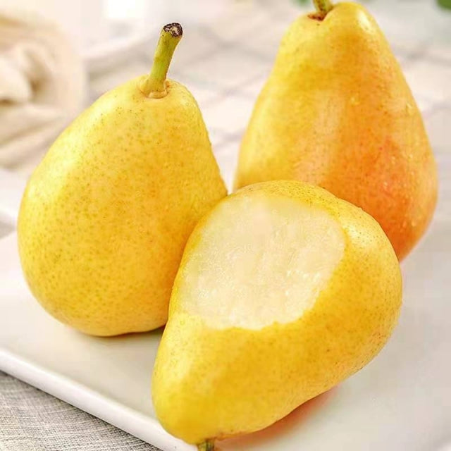 Pyrus communis Seeds - granny's pears