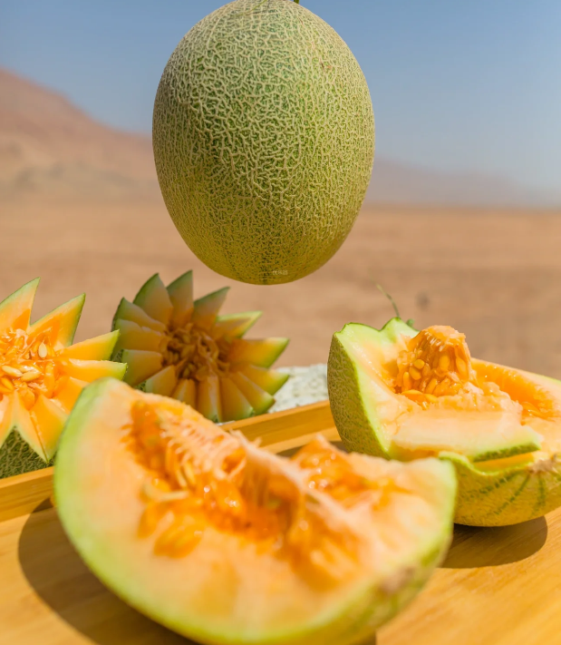 Reticulated Cantaloupe Seeds