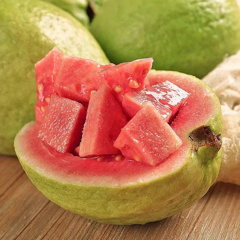 Tropical Strawberry Guava Organic Pink Guava Seeds