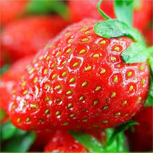 Last Day 70% OFF-  🍓CREAM STRAWBERRY SEEDS- Non-GMO