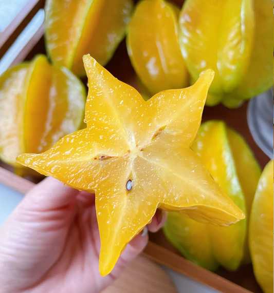 Four Seasons Star Fruit Seeds