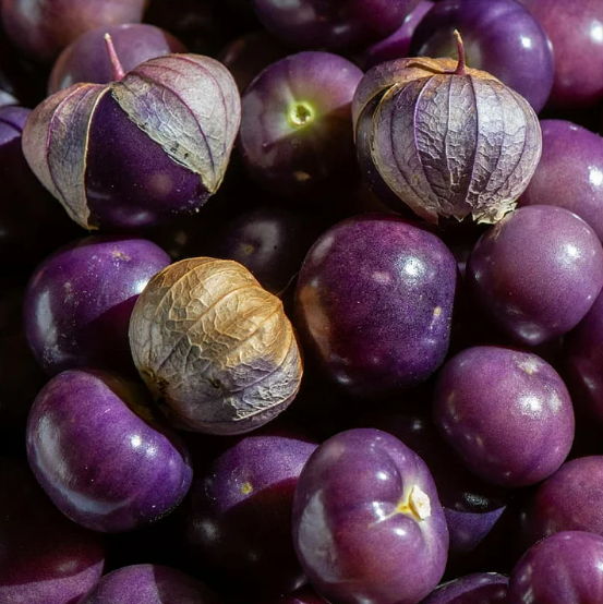 🍒Golden Berry Seeds Lantern Fruit Seeds—Golden Fruit