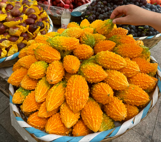 Lai Grape Seeds for Garden Bitter Gourd Seeds