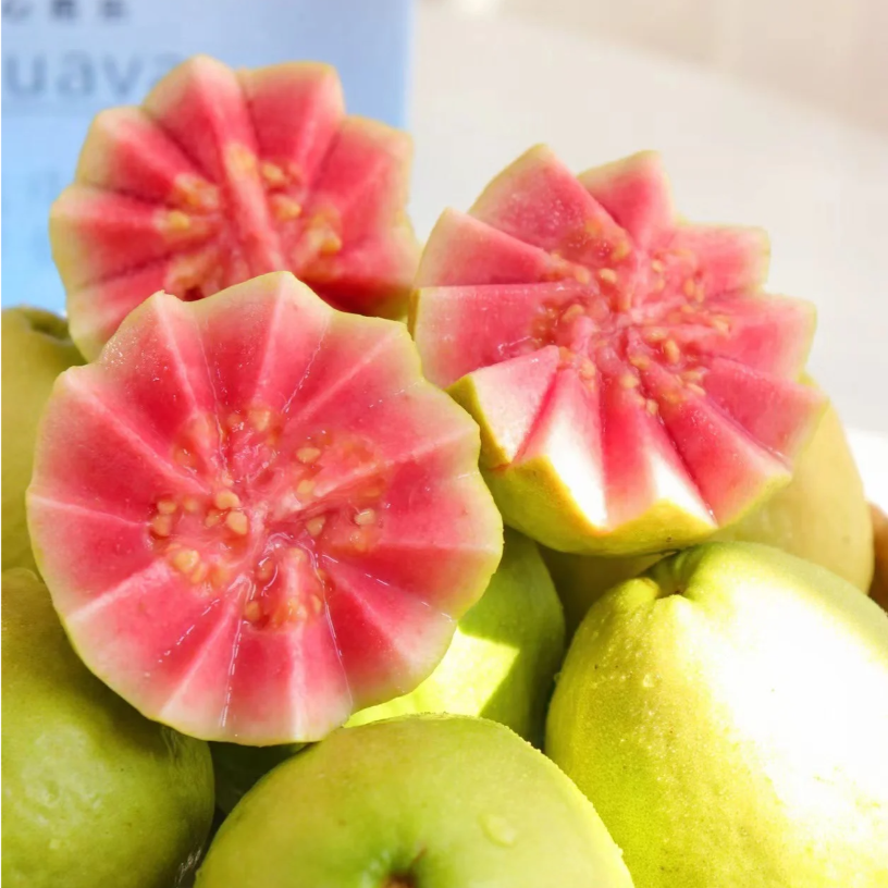 Tropical Strawberry Guava Organic Pink Guava Seeds