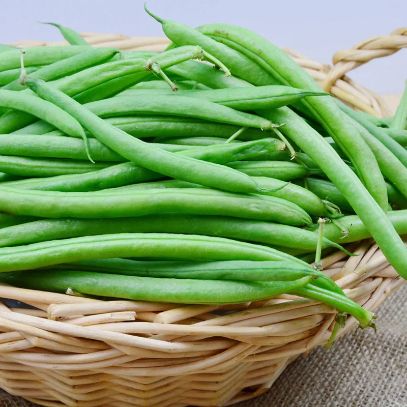 Bush Beans🫛Seeds(High Yield)