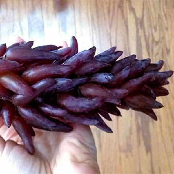 Advanced Finger Grape Fruit Seeds