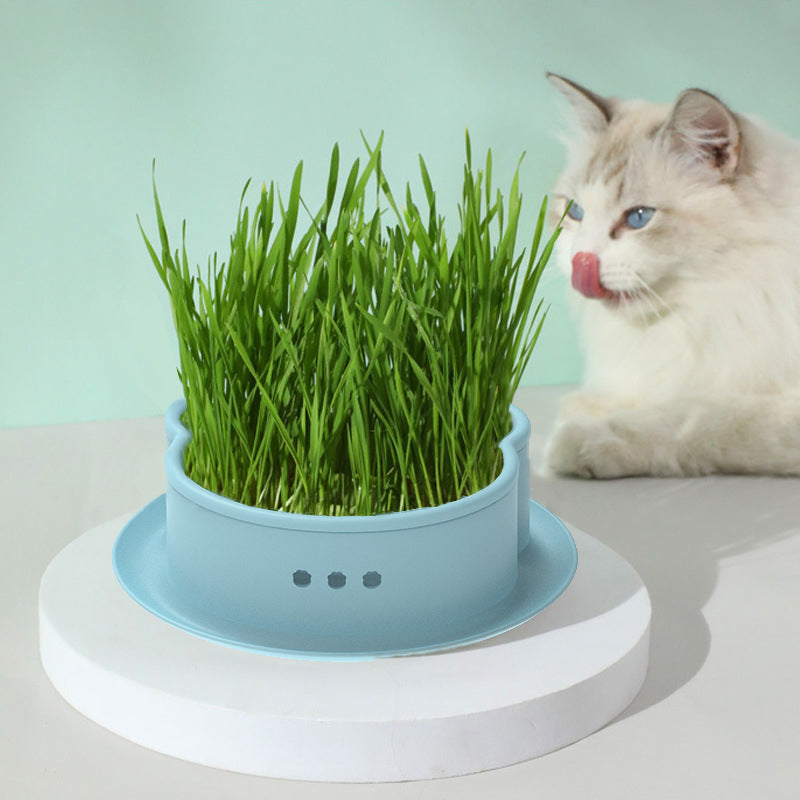 🔥Limited Time Special Offer 😻Soilless Cat Grass Seeds+Hydroponic Box