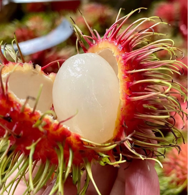 Garden Red Rambutan Fruit Seeds