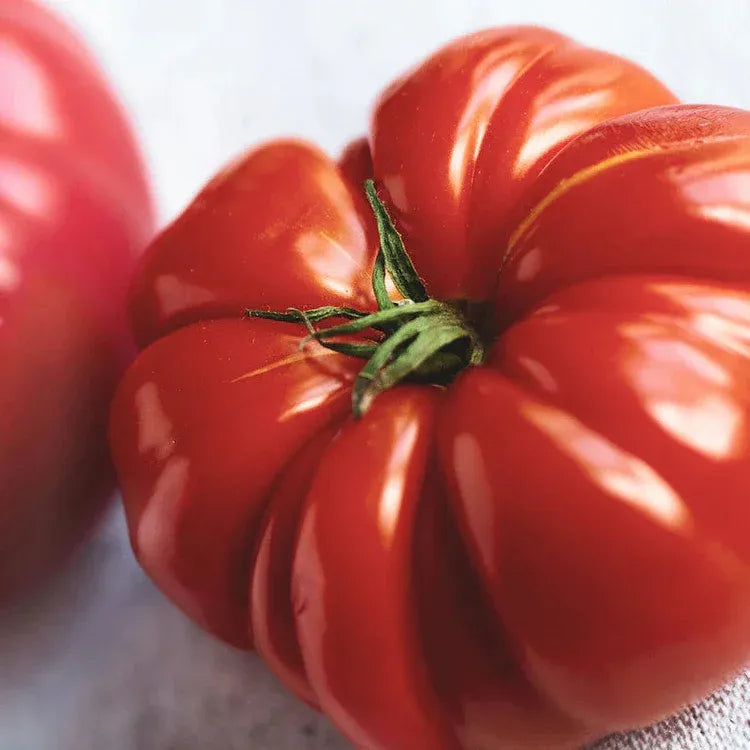 🔥Last Day Sale🍅Giant Beef Tomato Seeds