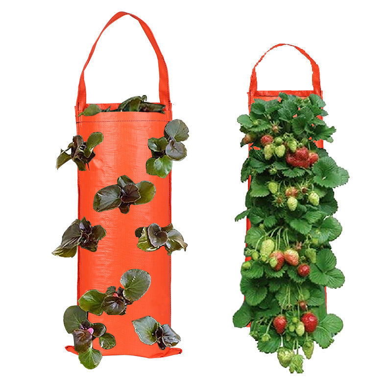 Hanging Strawberry Flowerpot Bag