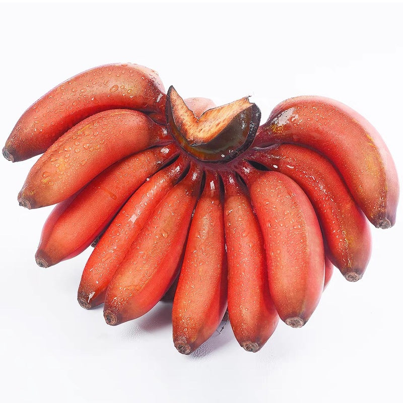 🔥Last Day Sale - 60% OFF 🍌Rare Fruit Seeds for Planting 100 Banana Tree Seeds for Planting