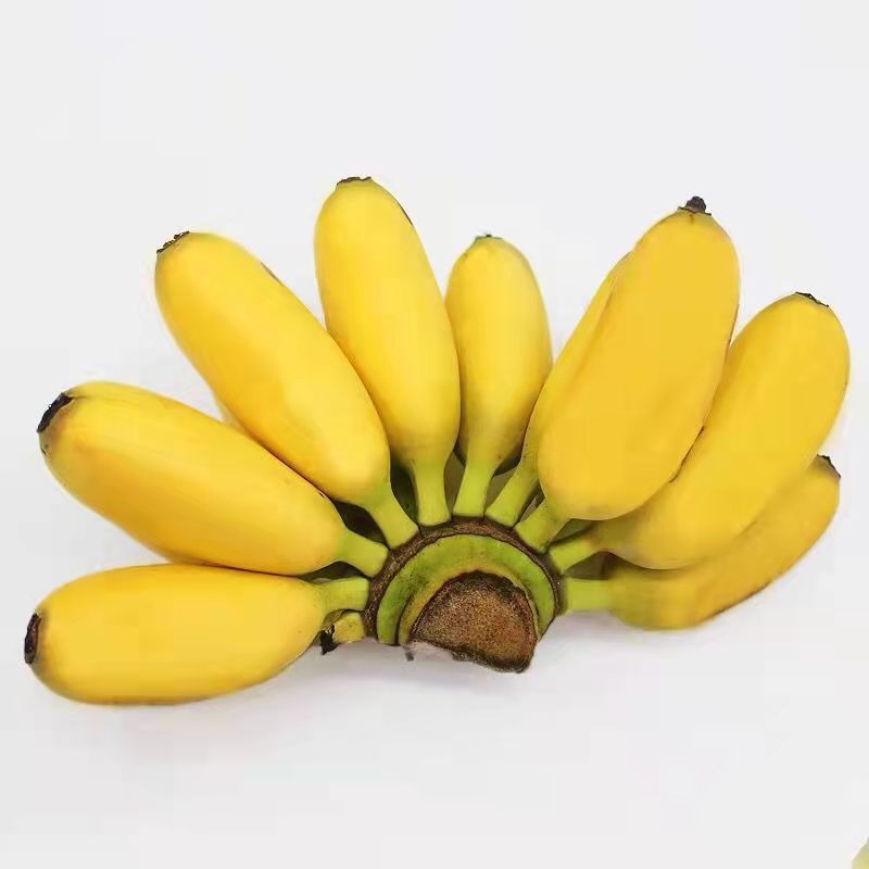 🔥Last Day Sale - 60% OFF 🍌Rare Fruit Seeds for Planting 100 Banana Tree Seeds for Planting