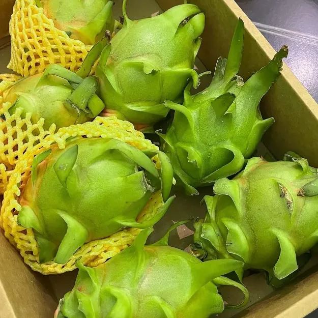 Multi-colored Dragon Fruit Seeds