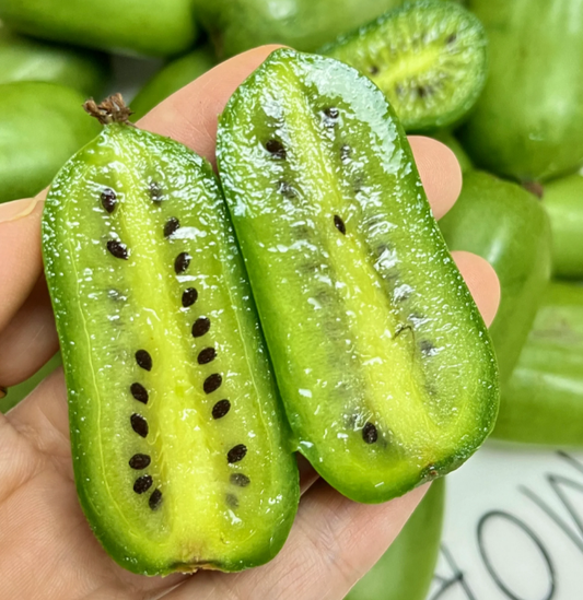 🥝Kiwi Seeds🥝🥝