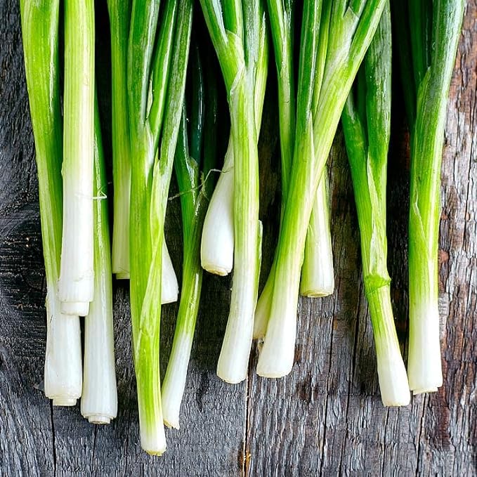 😍Last Day Sale - 60% OFF✨Green Onion seeds