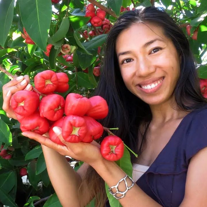 Wax-apple Fruit Seeds🍹100% Germination Rate