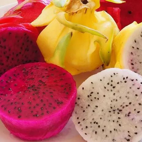 Multi-colored Dragon Fruit Seeds