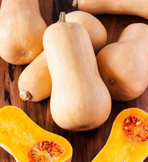 Butternut Squash Organic Seed