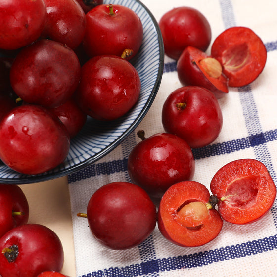 Ruby Calcium Berry Seeds🍒Prunus humilis