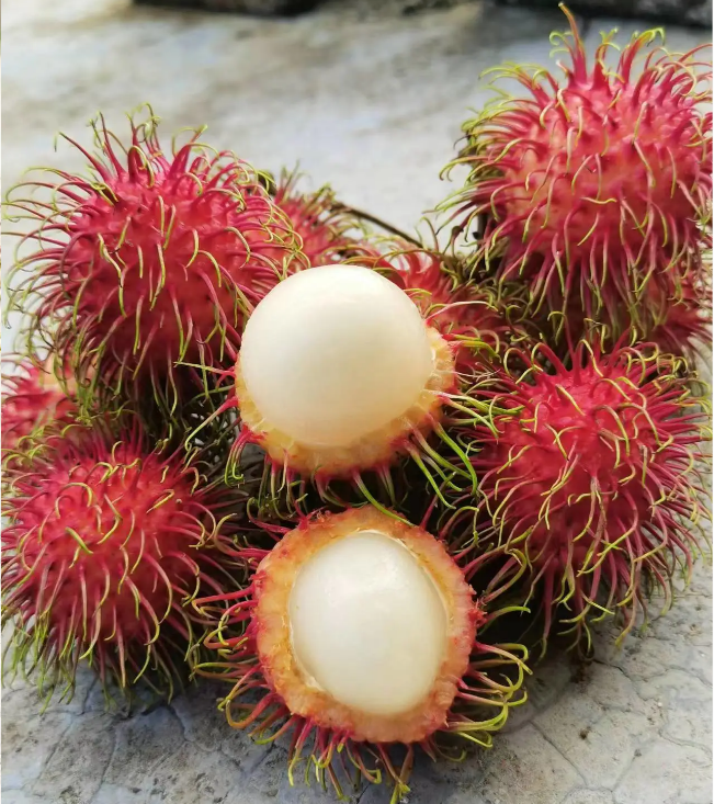 Garden Red Rambutan Fruit Seeds