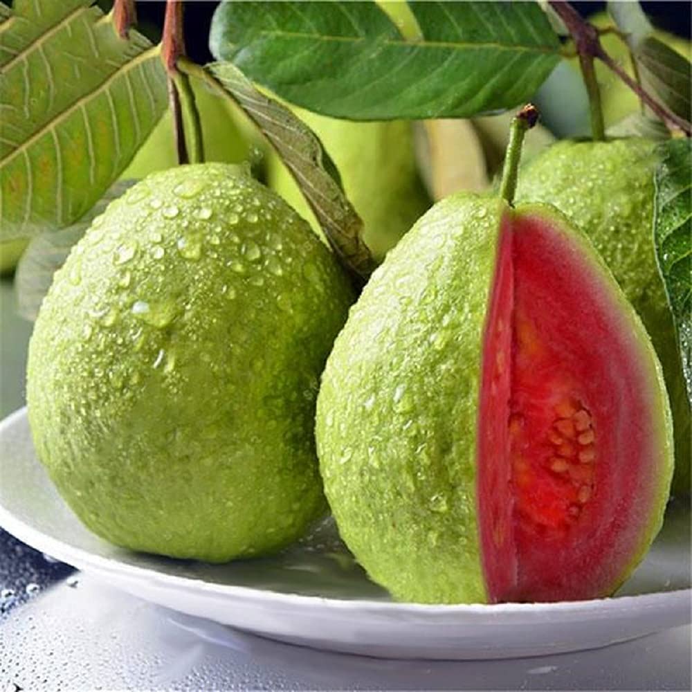 Tropical Strawberry Guava Organic Pink Guava Seeds