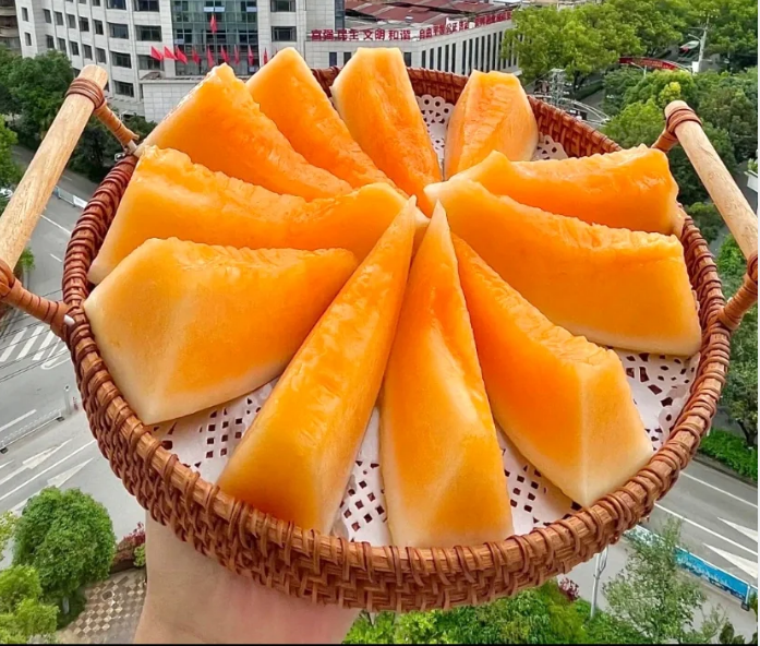 Reticulated Cantaloupe Seeds