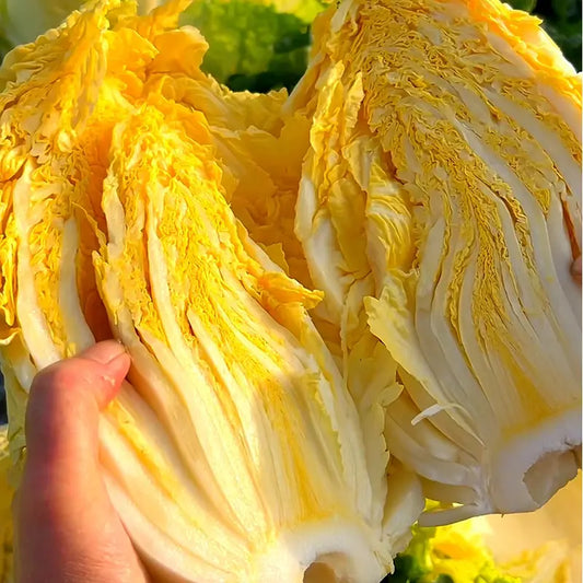 Orange-red Heart Cabbage Seeds