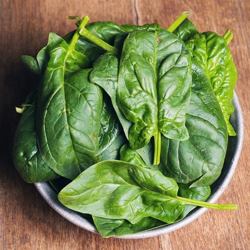 Heat-Tolerant Giant Spinach Seeds