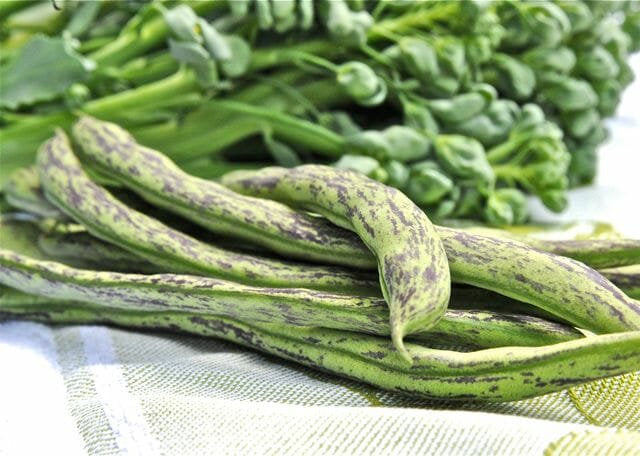 Rattlesnake Bean Seeds