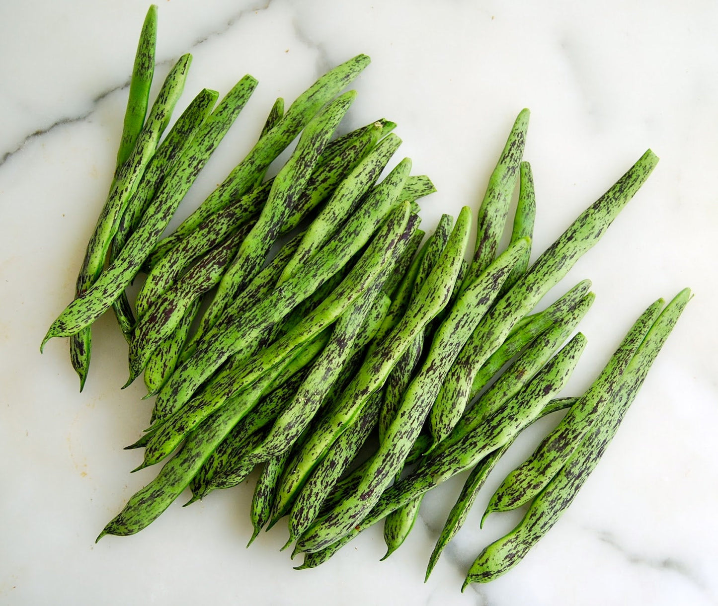 Rattlesnake Bean Seeds