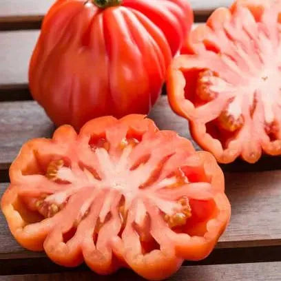 🔥Last Day Sale🍅Giant Beef Tomato Seeds