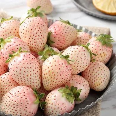 🍓Cream Giant Strawberry Seeds -- Various shapes & Natural juices🥤-Clearance sale