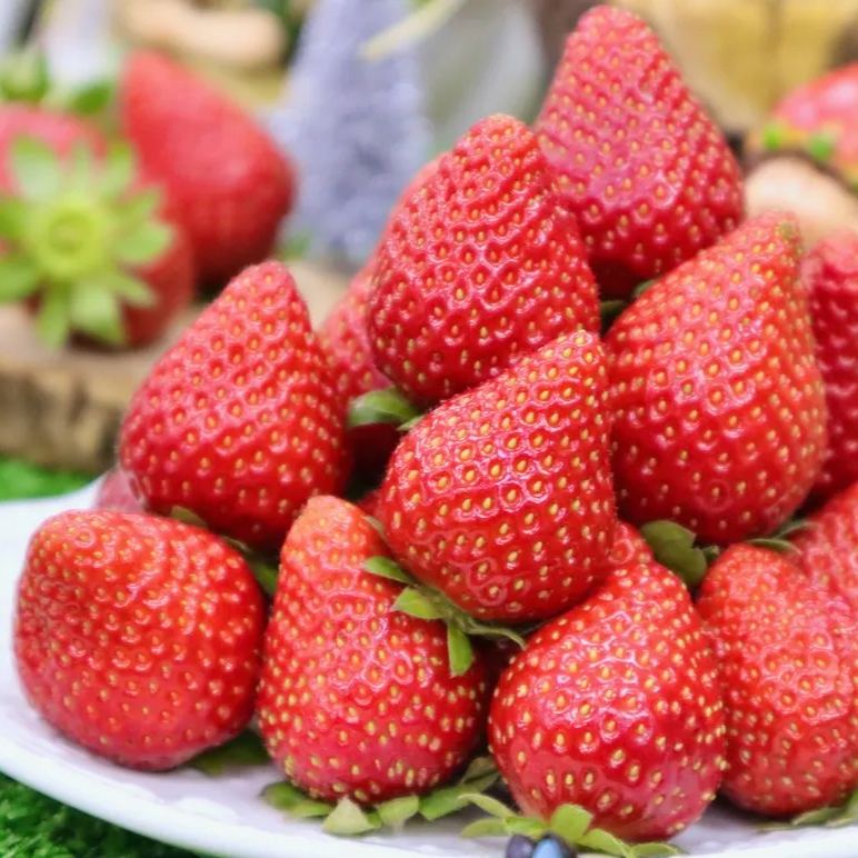 🍓Cream Giant Strawberry Seeds -- Various shapes & Natural juices🥤-Clearance sale