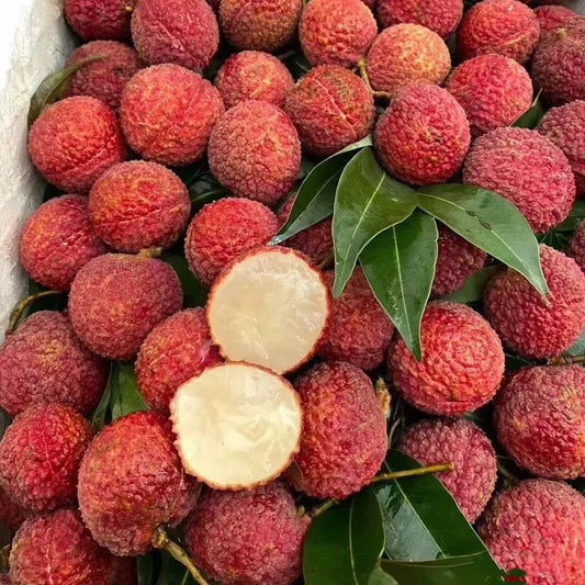 🔥Last Day Sale - 60% OFF🌿Seedless Lychee Seeds