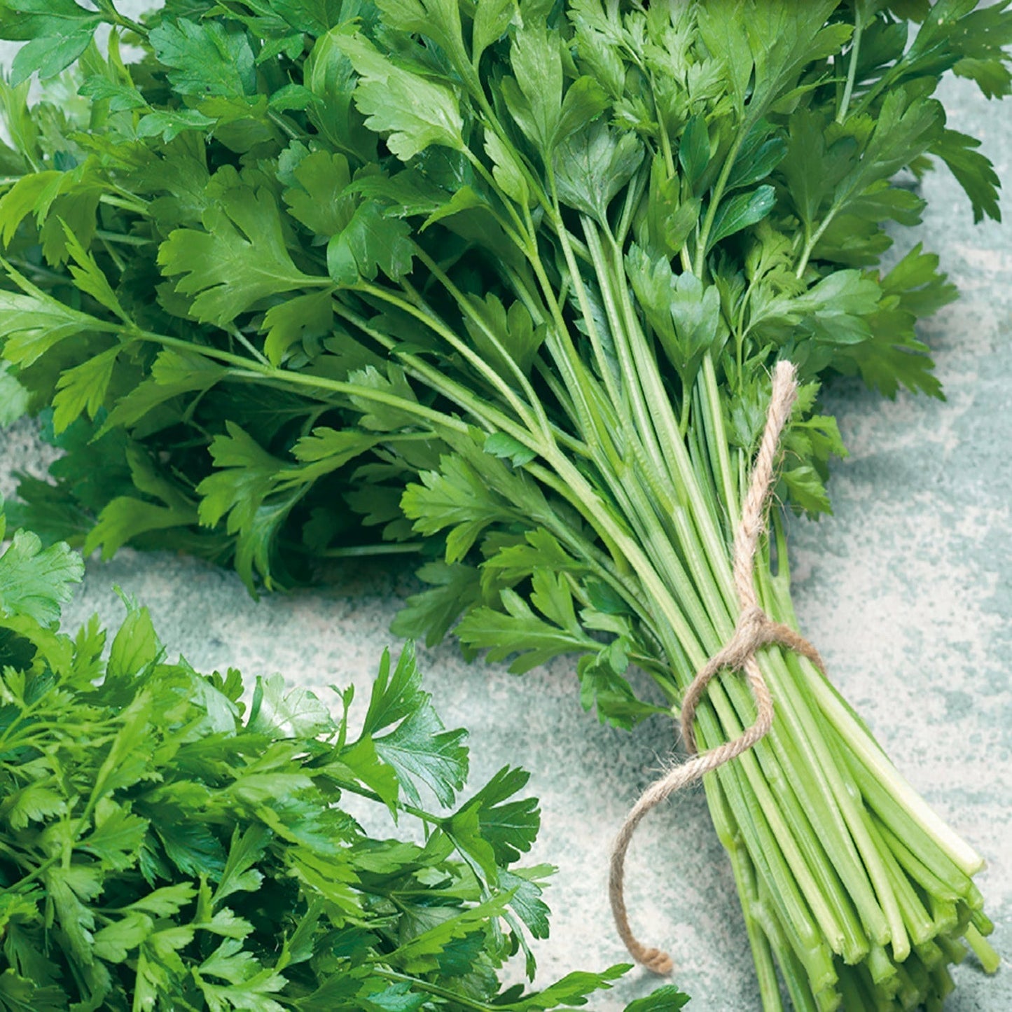 😍Last Day Sale - 60% OFF✨ Organic Parsley Seeds