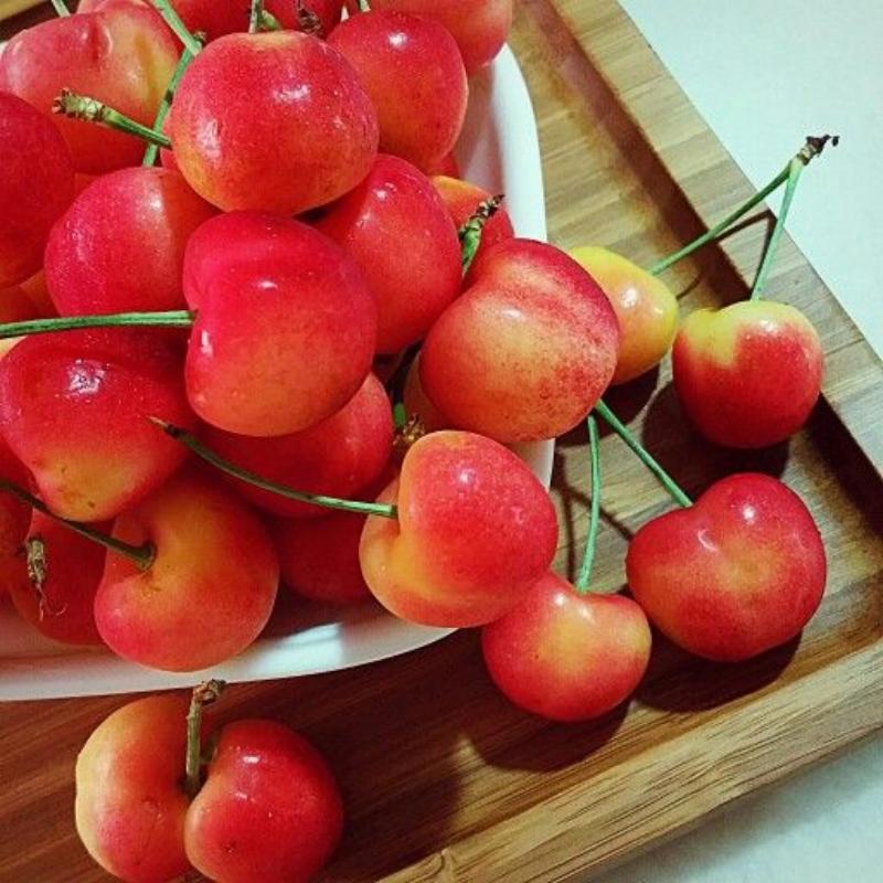 🍒Rainier Cherry Seeds